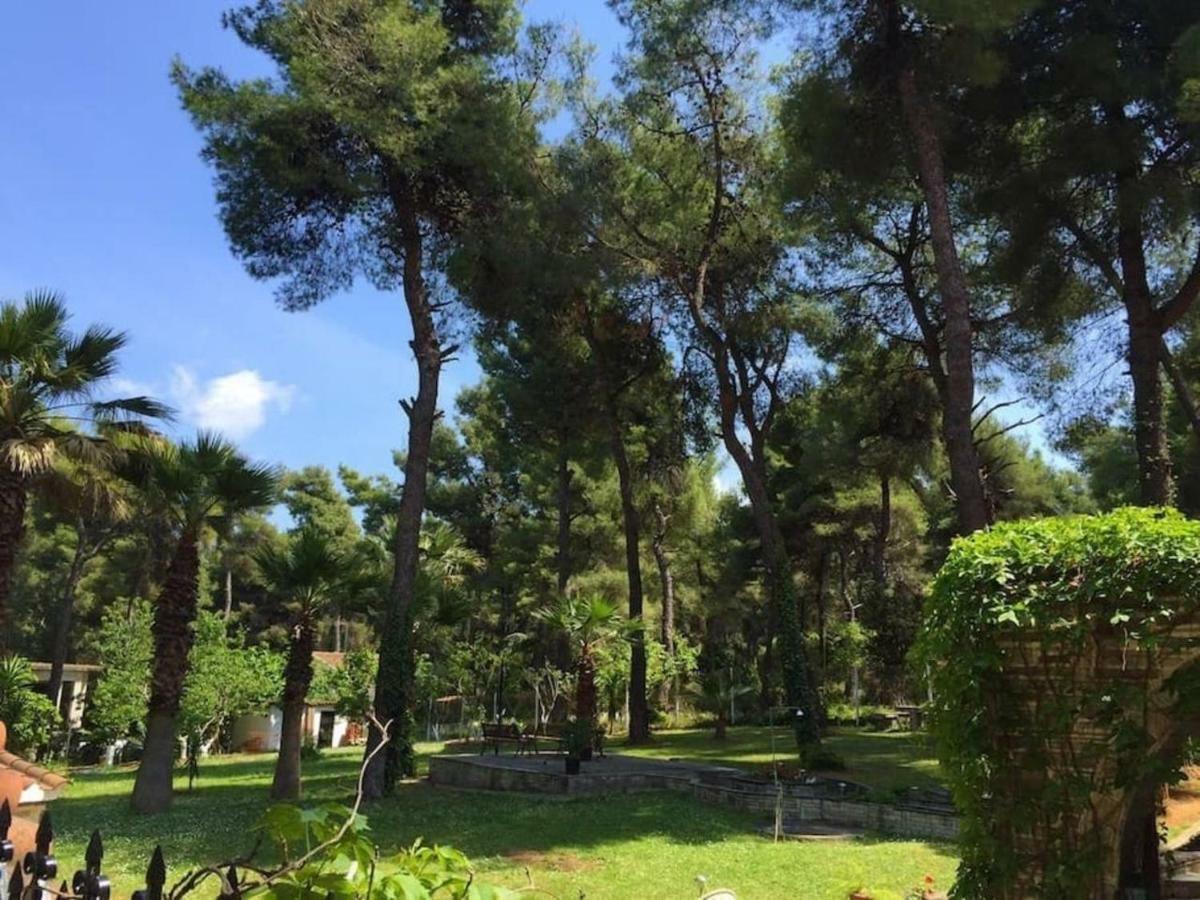 סאני ביץ' Wood And Stone Villa מראה חיצוני תמונה