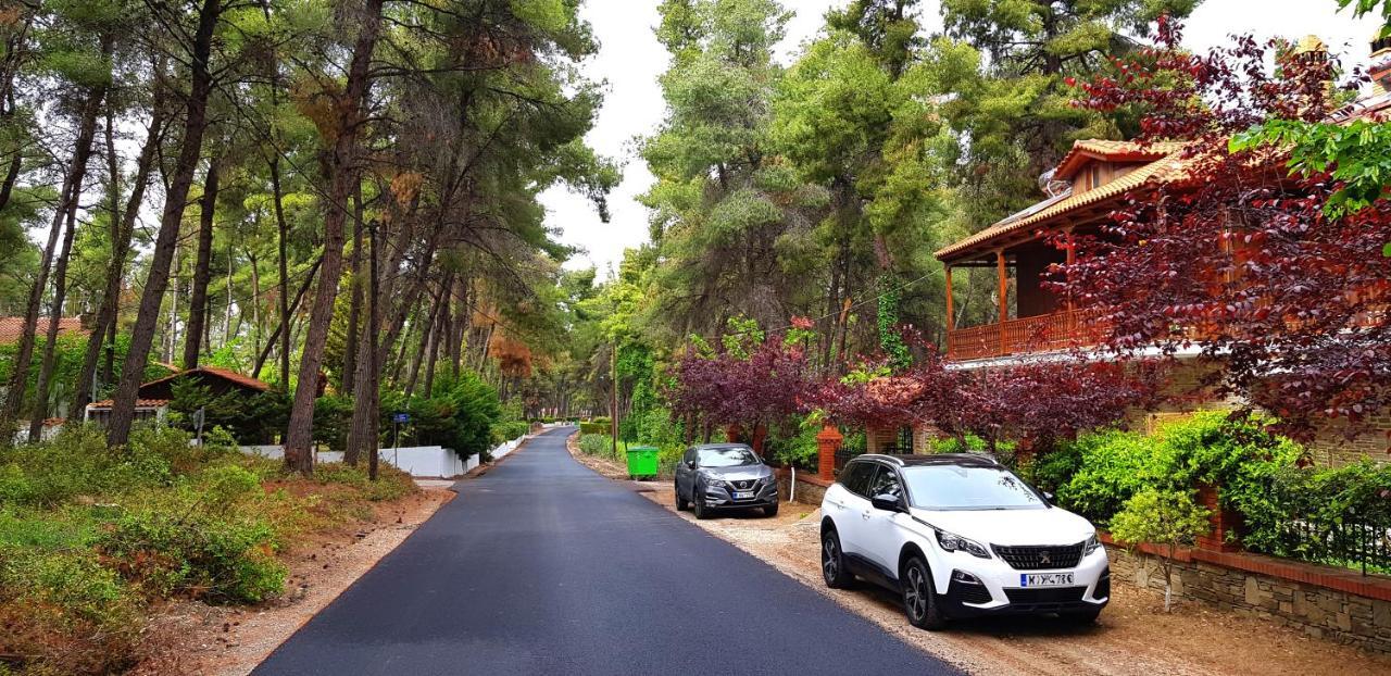 סאני ביץ' Wood And Stone Villa מראה חיצוני תמונה